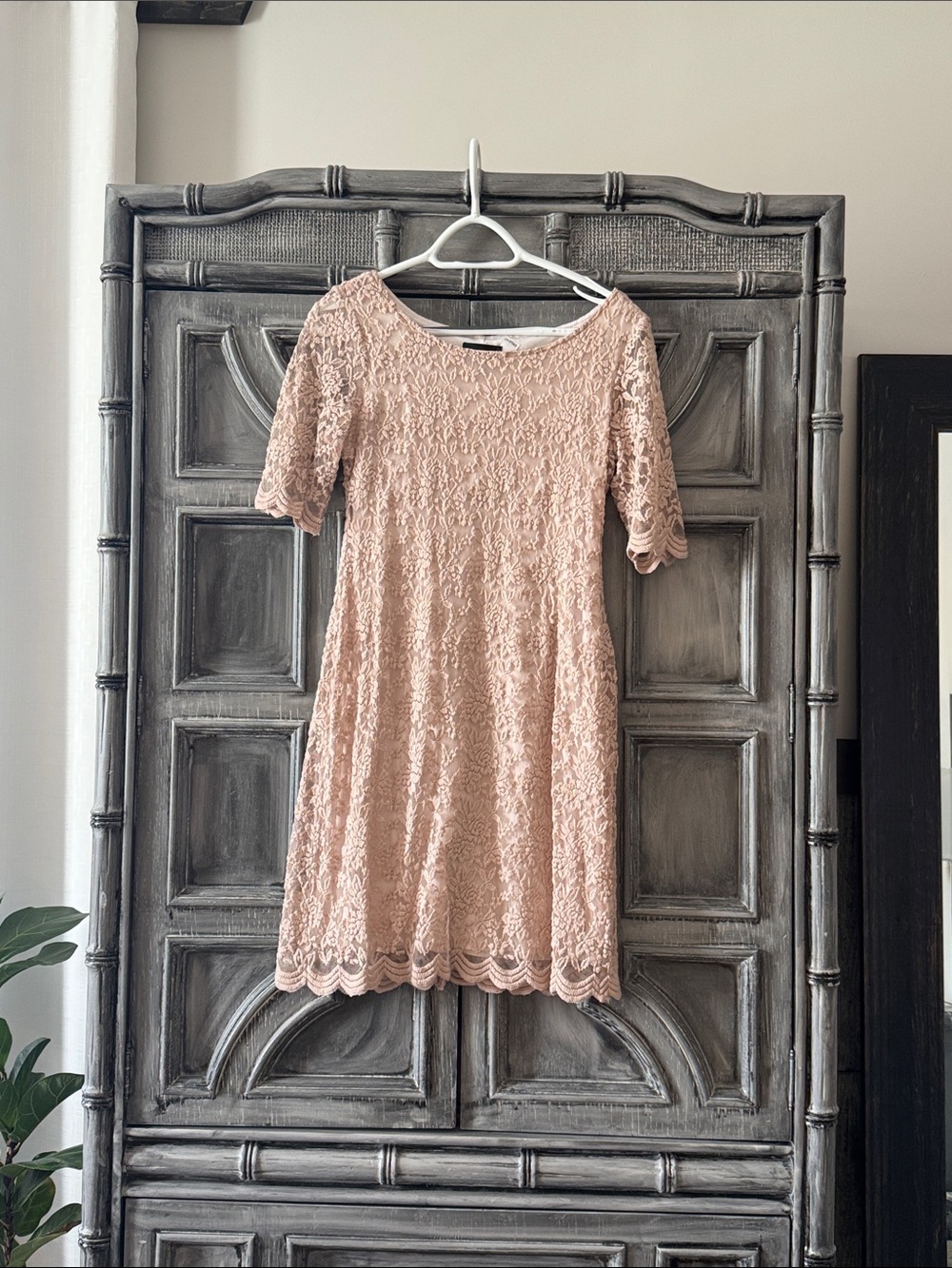 Lace Short Sleeve A-Line Dress in Blush